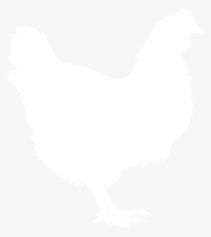Chicken Silhouette V2 - Rooster