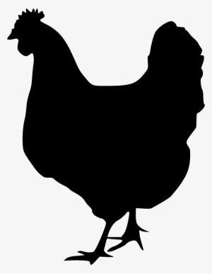 Chicken Svg Png Icon Free Download - Chicken Svg Free