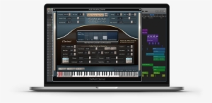 For Stage And Studio Production - Double Bass