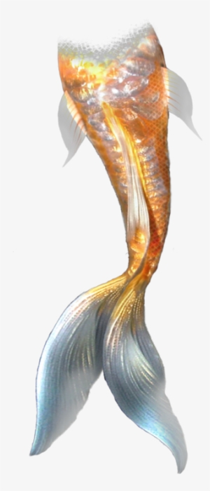Mermaid Clipart Mermaid Tail Mermaid Mermaid Tail Transparent - Mermaid Tail