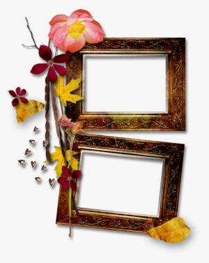 Cadre,frame,tube,png - Floral Design