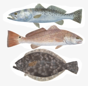 Texas Slam Stickers, 3 Separate Decals Sold As A Set - Texas Slam