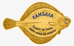 Flounder - « - Камбала Рисунок