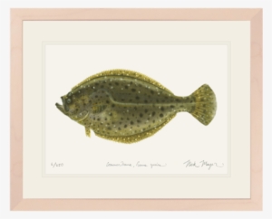 Fluke - Discounts And Allowances