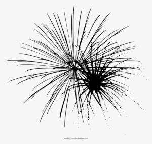 Dibujo De Fuegos Artificiales Para Colorear - New Zealand Cabbage Tree