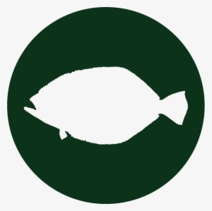 Animal Encounters - Bass - Bass - Flounder - Nussmilchbeutel, Passiertuch Für Nussmilch, Mandelmilch