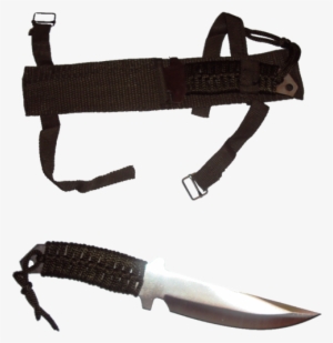 A Full Tang Construction In Silver Anodized, 420j2 - Hunting Knife