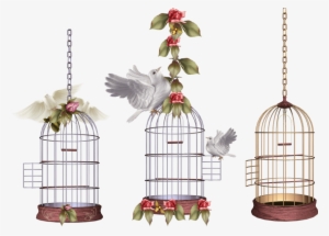 Free Png White Bird Cage Png Images Transparent - Клетка С Птицей Рисунок