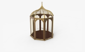Bird Cage 1 - Cage