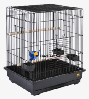 Prevue Hendryx, Collapsible Cage - Birds Cages