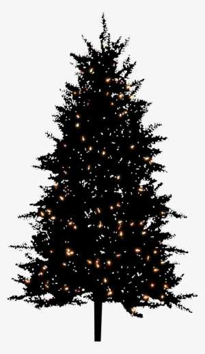 Night Bg Christmas Tree Png By Dbszabo - Northlight 4.5-ft Pre-lit Black Artificial Christmas