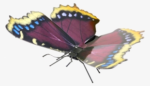 Metal Earth Butterflies