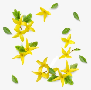 This Graphics Is Yellow Fresh Flower Decoration Vector - Yellow