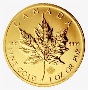 Gold Maple Leaf - Maple Leaf 2013 Gold