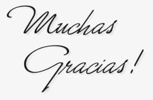 Agradecemos Su Donación - Gracias Clipart