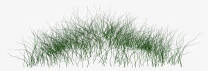 Grass Photoshop Png Jpg Free Download - Png Water Plants