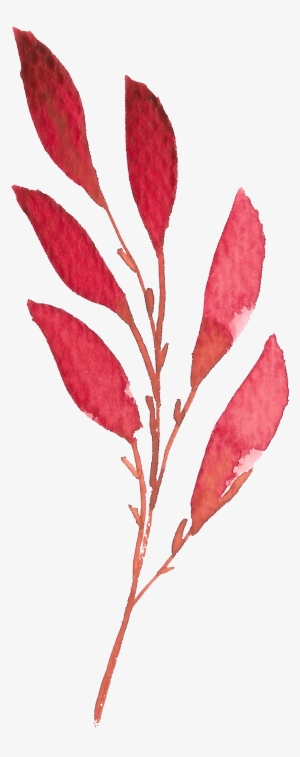 Hand Painted A Red Leaf Watercolor Transparent - Watercolor Painting