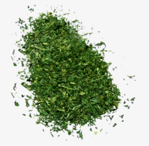 Dry Mint - Nas Afghanistan