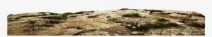 Dry Ground Transparent - Portable Network Graphics
