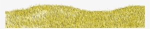 Drygrass - Field