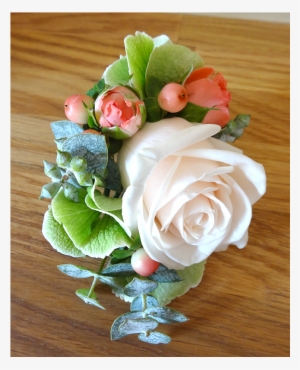 ‹ › - Garden Roses