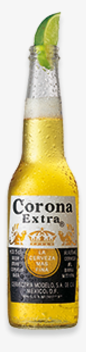More Views - Corona Extra