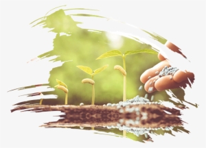 Talk Suicide Education - Illustration