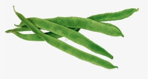 Green Png Images Free Download - Green Beans Clipart Png