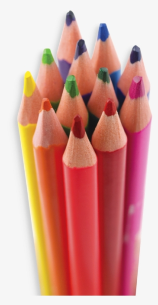 Wood Free Colored Pencils - International Arrivals Wood Free Pencil Set