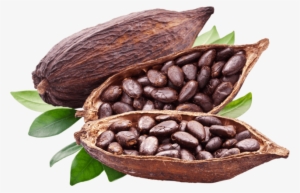 Cocoa Beans - Mesmara Raw Unrefined Cocoa Butter 150g