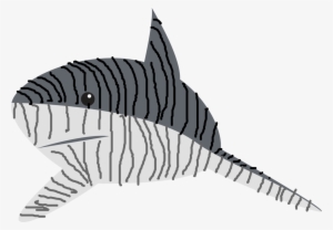 Tiger Shark Drawing Line Art Great White Shark - Shark Vector