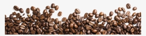 Coffee Beans Png Free Download - Coffee Bean Png Transparent