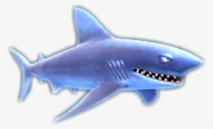 Makoshark - Shortfin Mako Shark