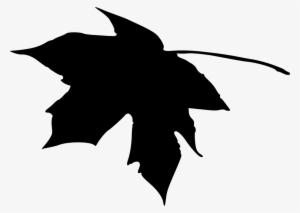 Png File Size - Leaf Silhouette Png
