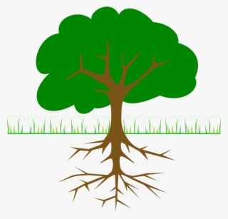 Branches And Roots - Tree Clip Art