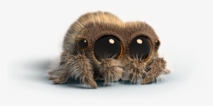 Lucas The Spider - Lucas The Spider Daddy Spider