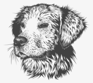 Dog, Animal, Domestic Animal, Doggie - Animal Head Vector Black White