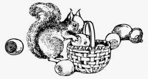 Squirrel Drawing Coloring Book The Enchanted Forest - Squirrel Gathering Nuts Clipart