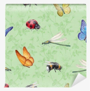 Watercolor Insects Illustrations - Watercolor Painting