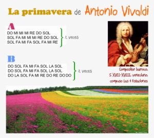 Go To Image