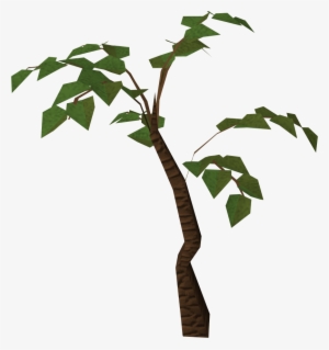 Drawn Ivy Jungle Tree - Jungle Tree Png