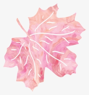 Leaf Pink Petal - Pink Leaf Transparent