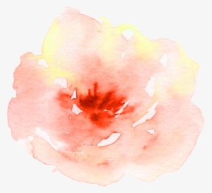 Flower Watercolor Watercolour Peach Aesthetic Pretty - Watercolor Painting