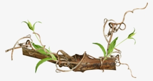 Clip Art Freeuse Info - Vintage Branch Png
