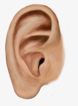 Share This Article - Ear Png