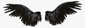 Transparent Angel Wings - Black Angel Wings Transparent