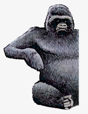 Home - - Mountain Gorilla