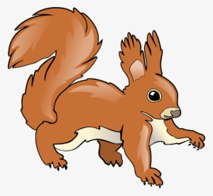 Tree Squirrel Chipmunk Computer Icons Drawing Free - Squirrel Drawing