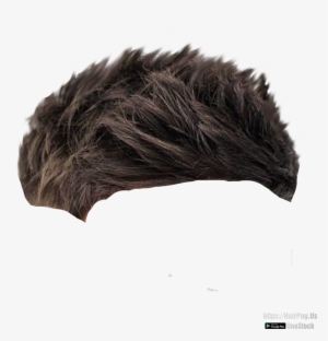 Hair Png - Hair