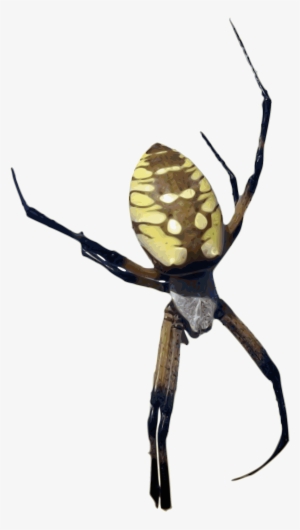 This Free Icons Png Design Of Photorealistic Color